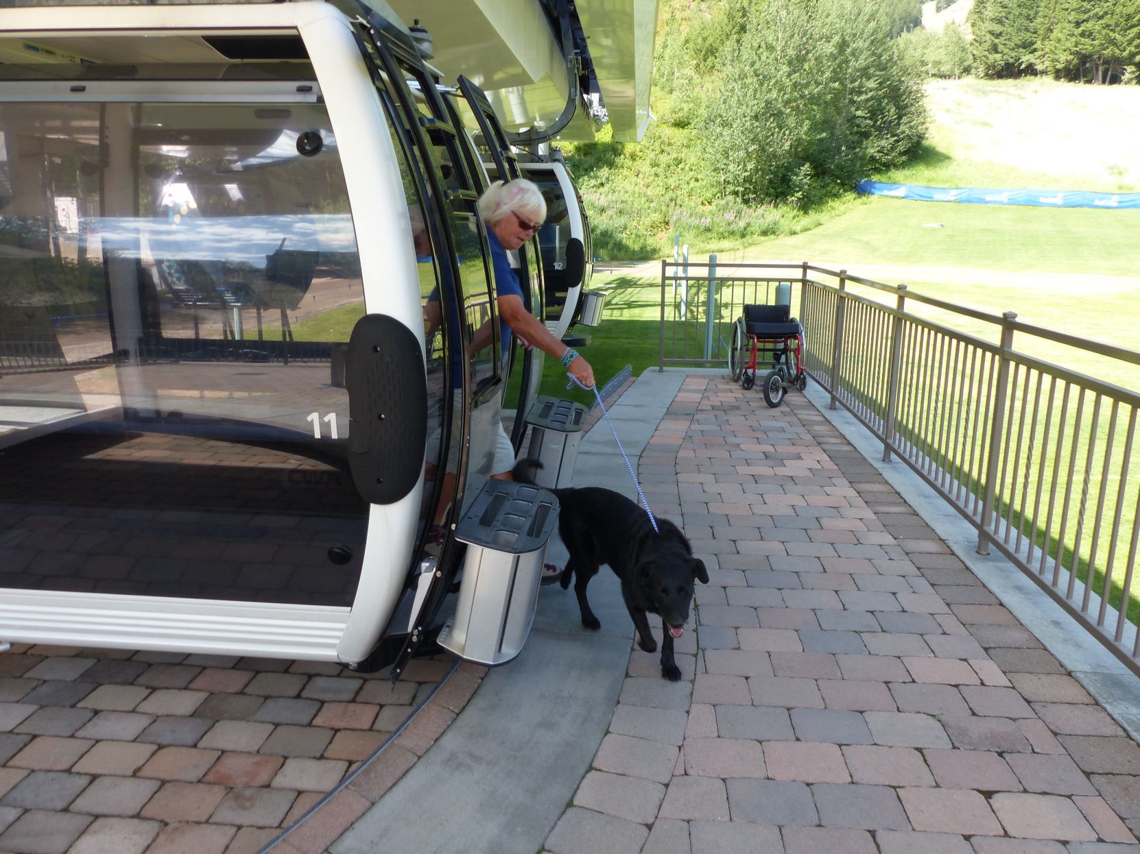 Dogondola